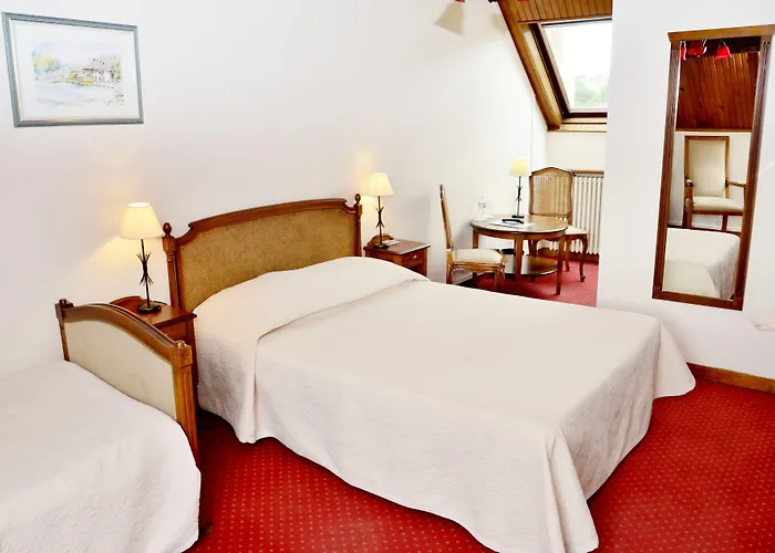 酒店 Logis & Restaurant Du Sauvage 3*