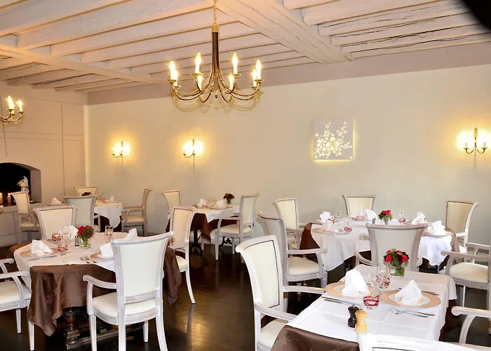 Logis & Restaurant Du Sauvage 酒店 La Ferté-Gaucher