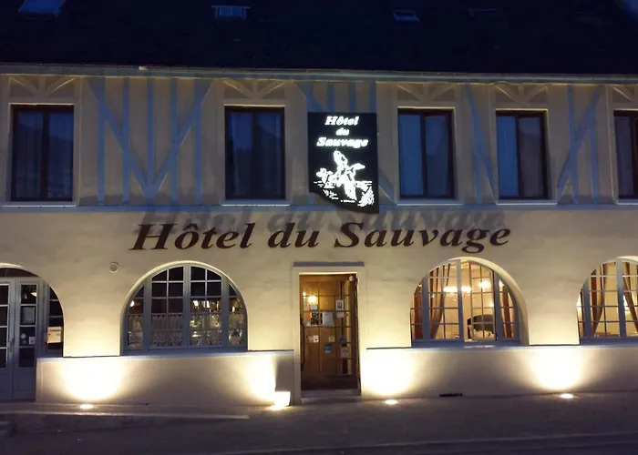 Logis & Restaurant Du Sauvage 酒店