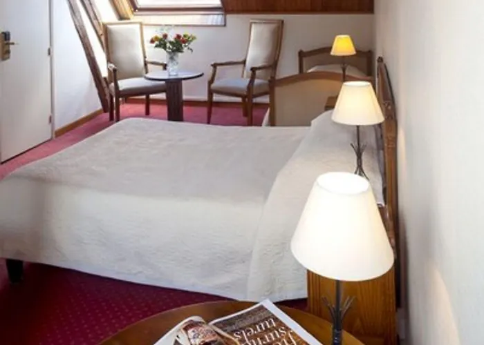 Logis & Restaurant Du Sauvage 酒店 La Ferté-Gaucher